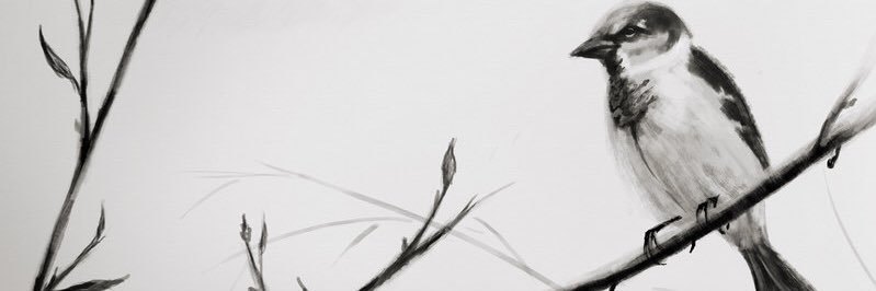Julia7598's profile banner image