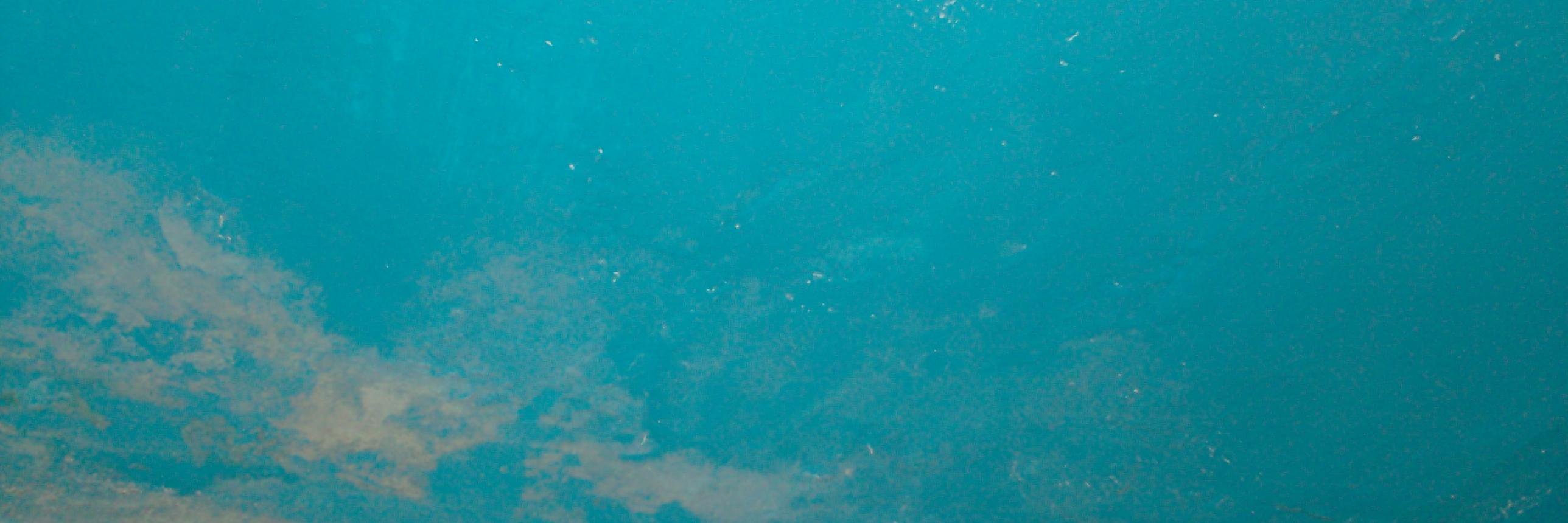 radamana's profile banner image
