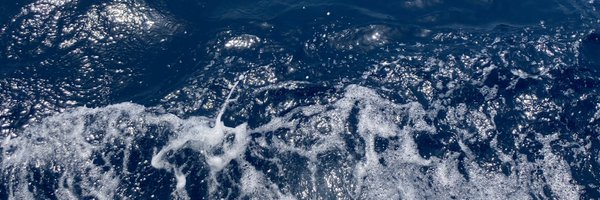 Kitvovo Profile Banner