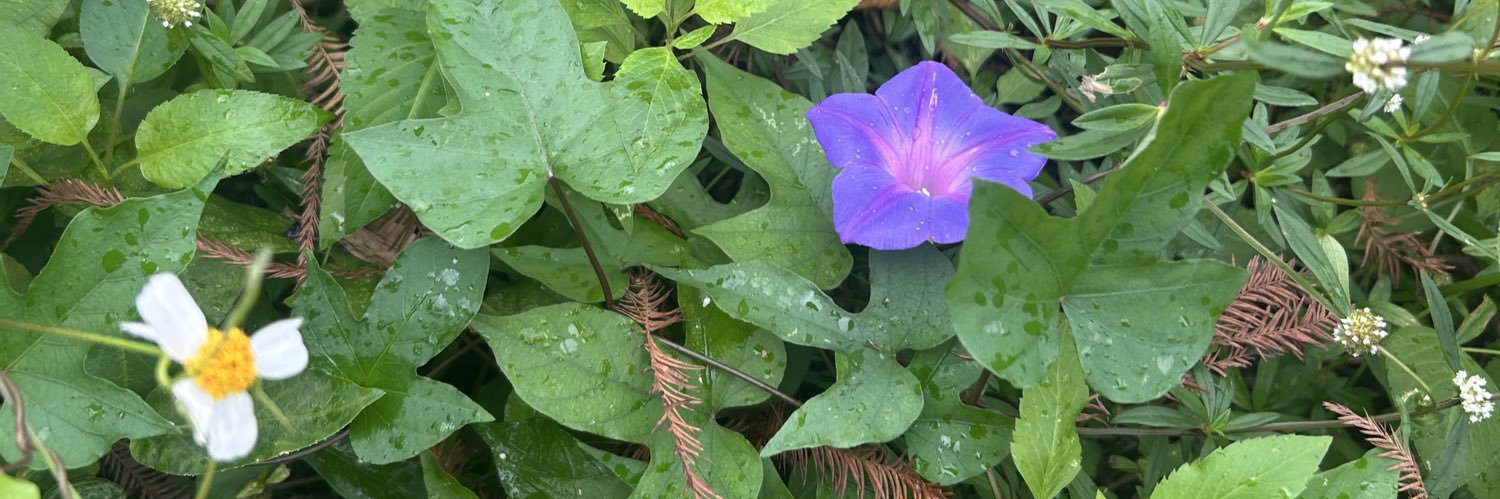 dope, it is tom banner