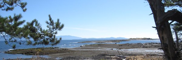 jillschnarr Profile Banner