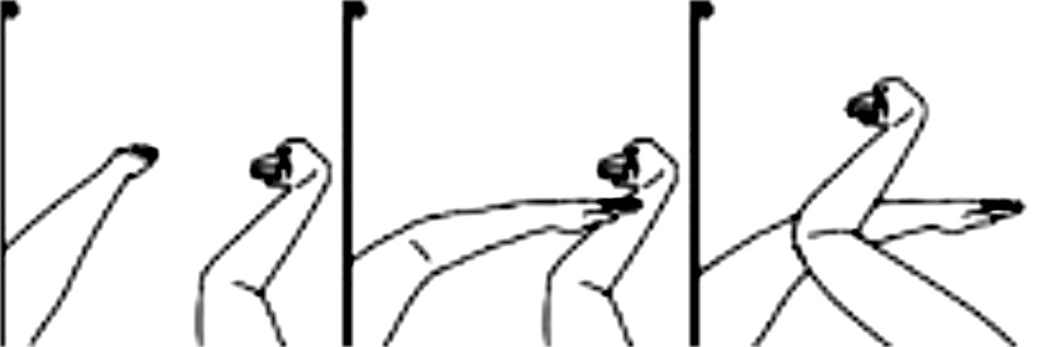 standard deviation 55 banner