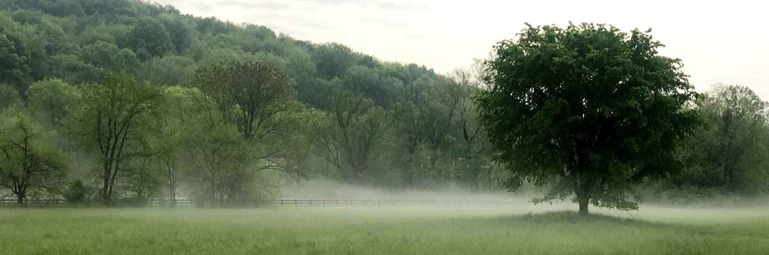 melissahperry's profile banner image