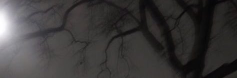 cannibal_cut's profile banner image