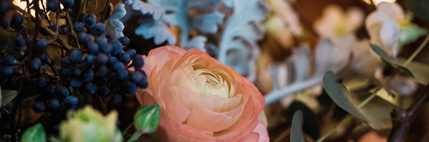 Mollie Vandor Forer banner