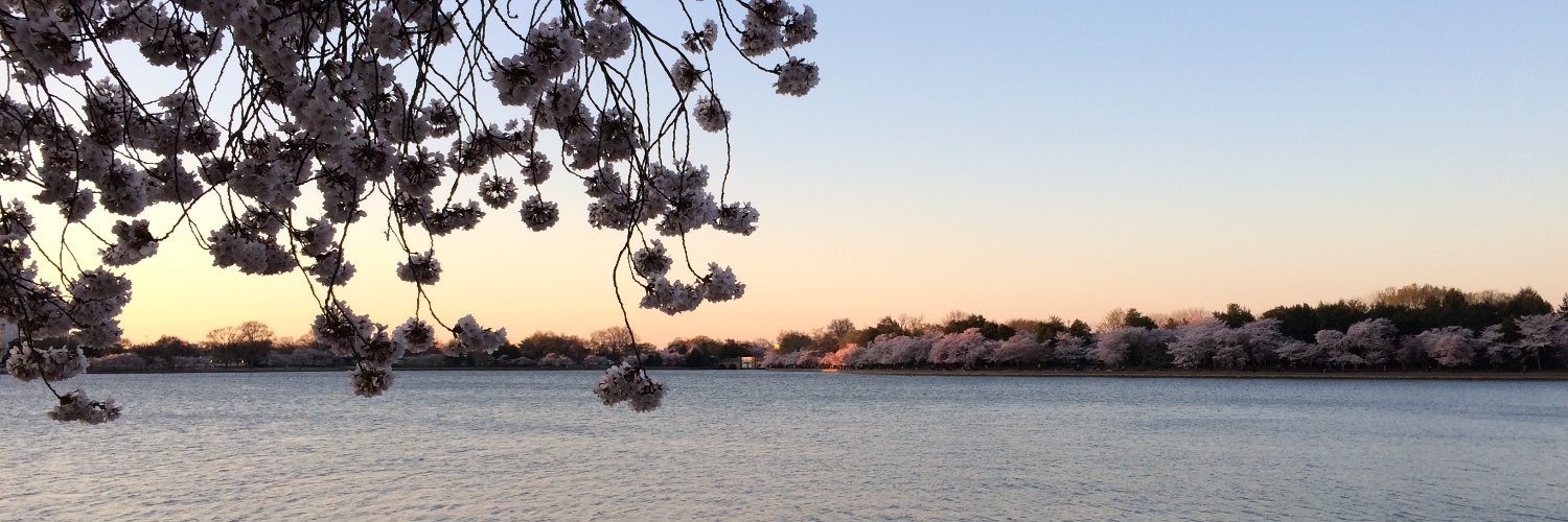 CourtneyLiessen's profile banner image