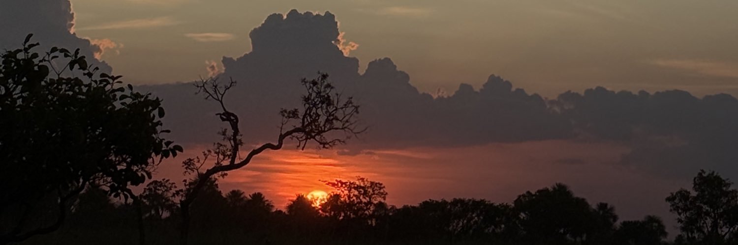 pamizeira's profile banner image