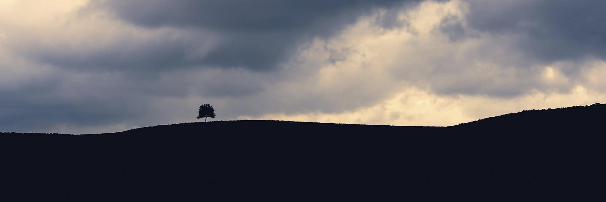 tommyclark's profile banner image