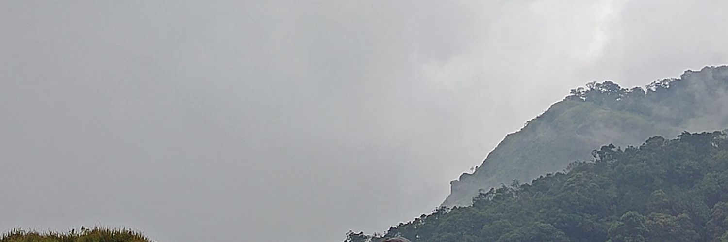 dkwofdiddidid's profile banner image