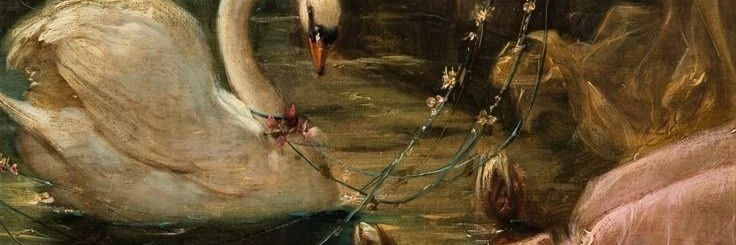 aychque's profile banner image