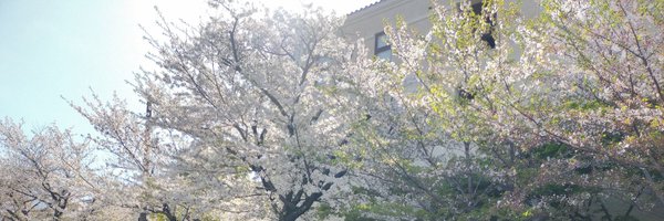 Puritar0u Profile Banner