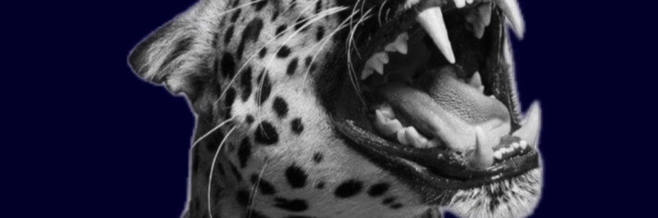 fx9lil's profile banner image