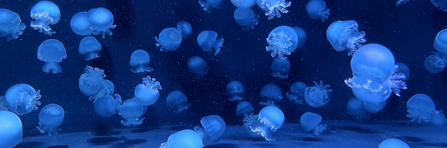 rusty_snowy1's profile banner image