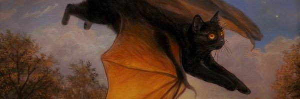 mmmmmacocosa's profile banner image