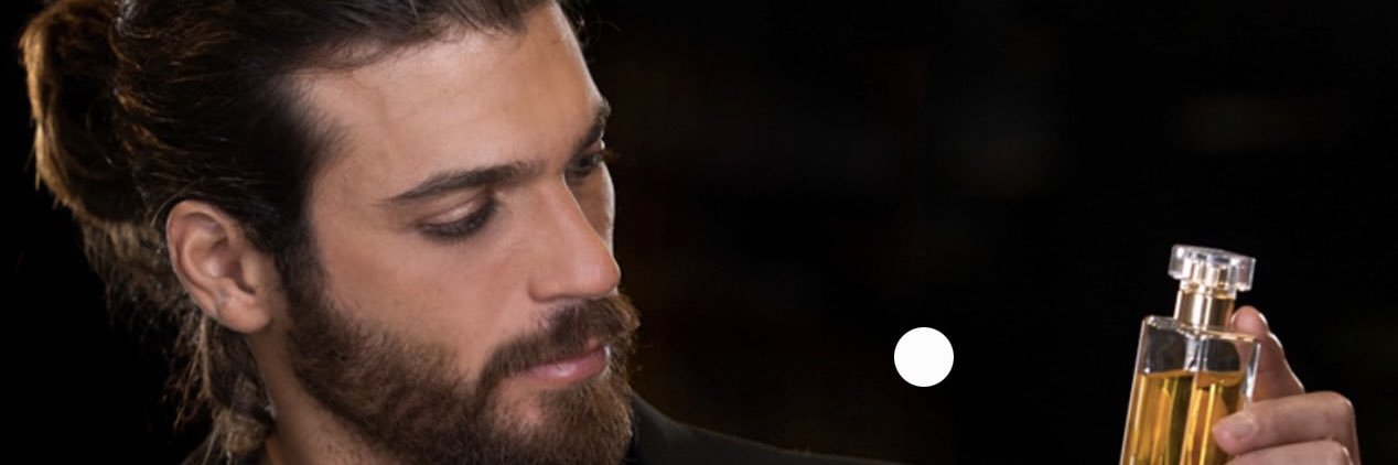 ishyfoxylady's profile banner image