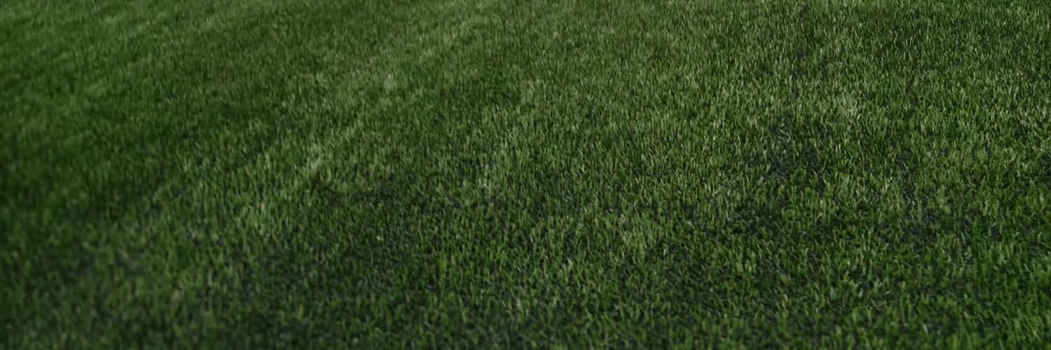 Slim Daddie banner