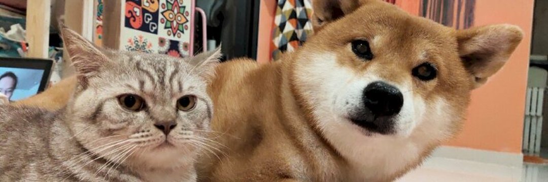 Meme Contexts 💙 http://De.Fi Army🪐🦸| BountyTemp banner