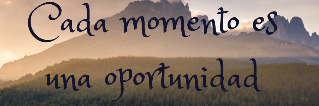 Carlhndez's profile banner image