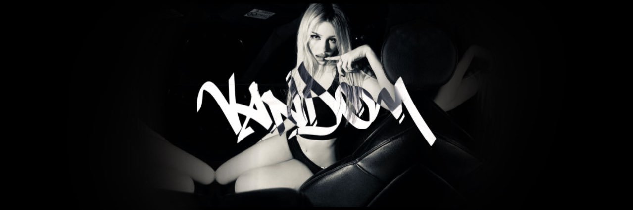 Vandom banner