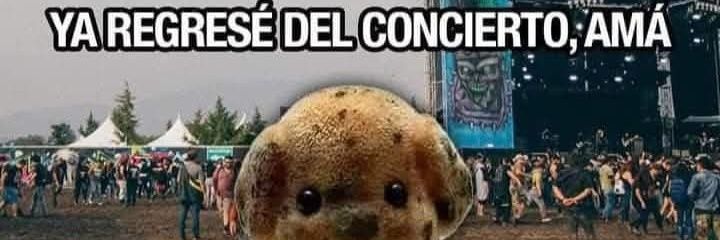 crisdelangel's profile banner image