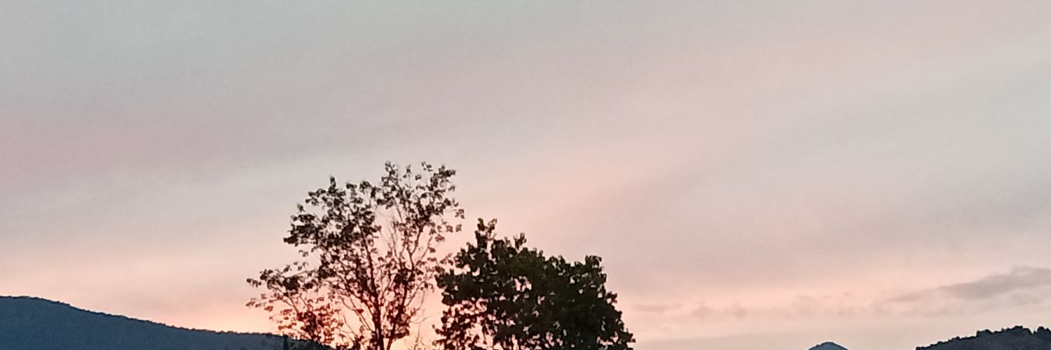 sof banner