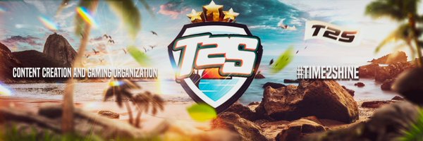 T2SOrgPage Profile Banner