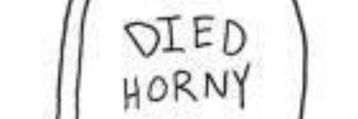 🎀 banner