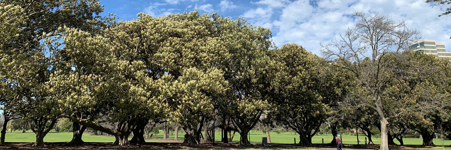 Gaurab Bhattacharjee banner