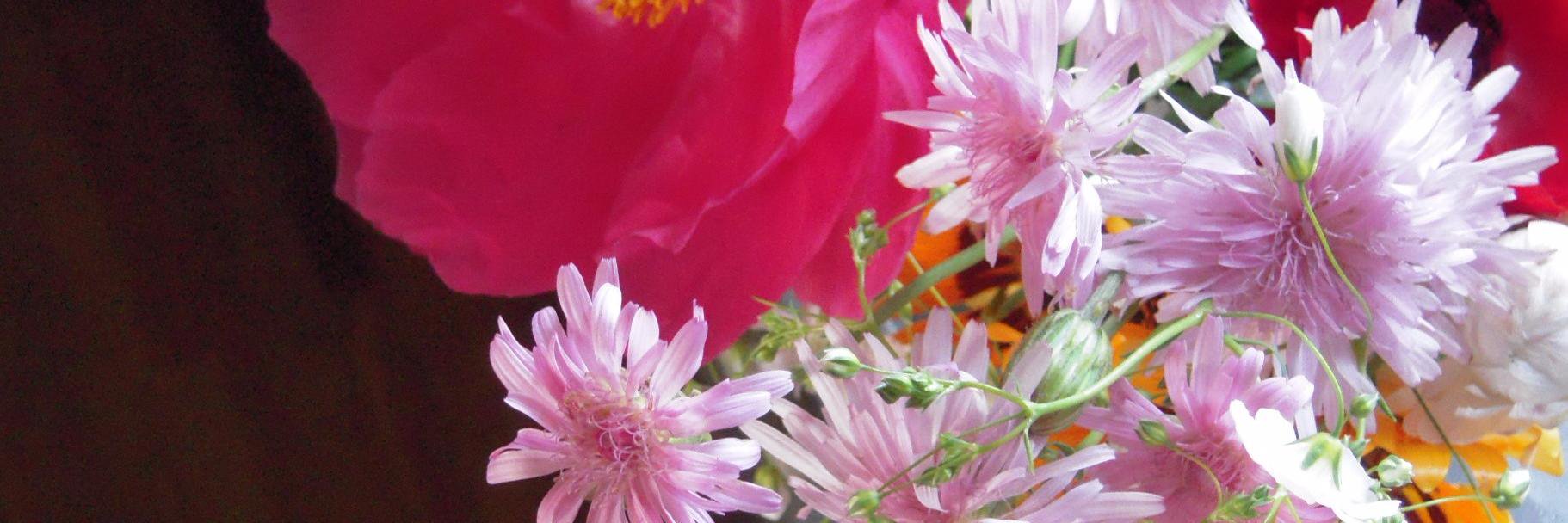 ＲＯＹ（ろい） banner