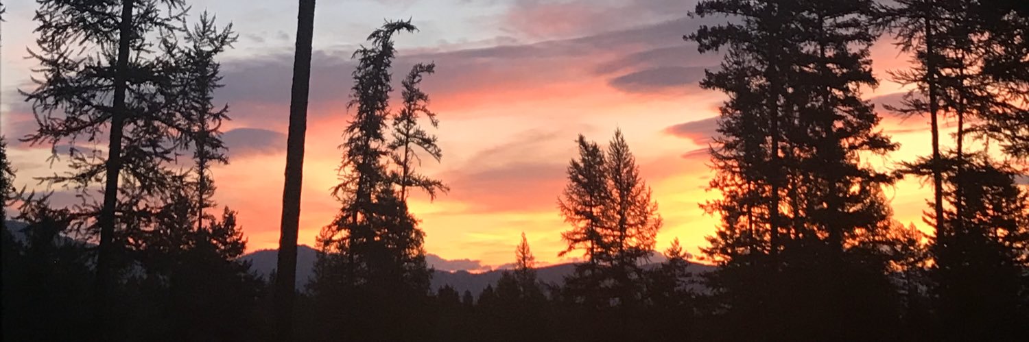 Sharon Kwon, LCSW banner