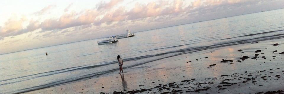 MarieFalangi's profile banner image