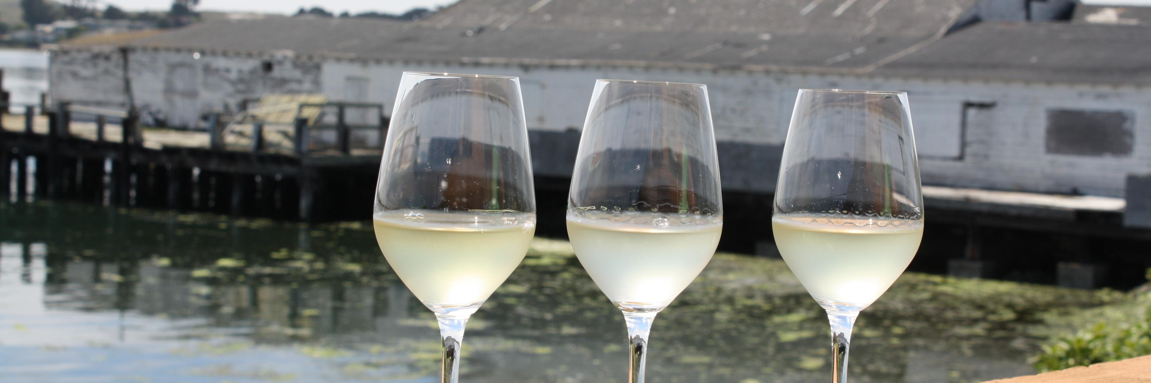 Anne Louise Bannon banner