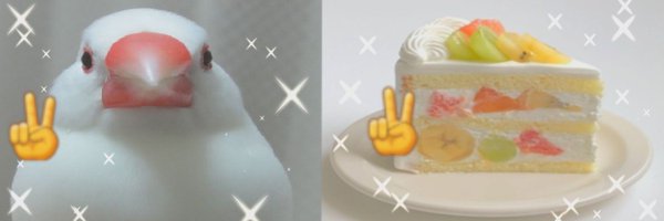 starcandy05 Profile Banner