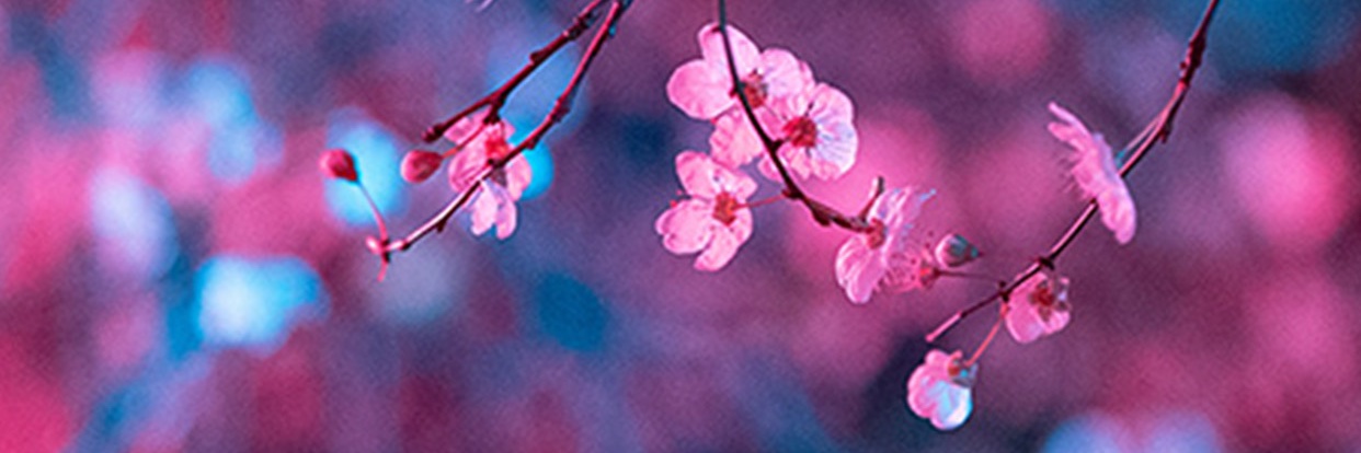 jennb47's profile banner image