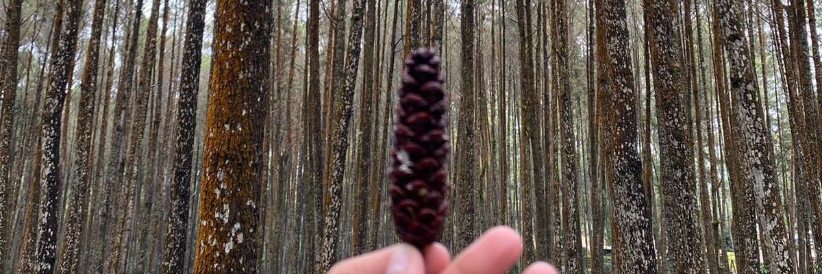 richgfjae's profile banner image
