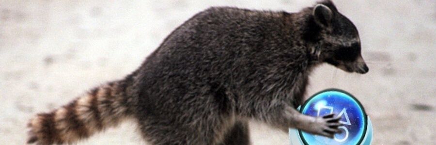 SlyCerberus's profile banner image