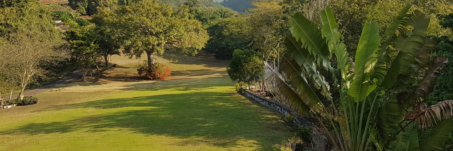 LeCorridor's profile banner image