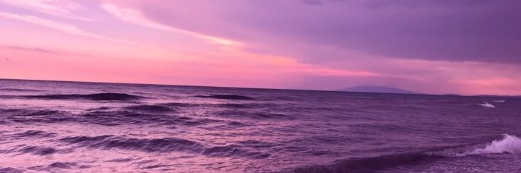 sky!! 💜✨ banner