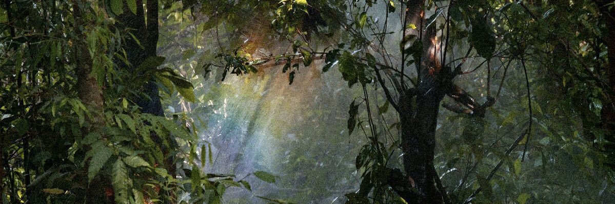 zoeariell's profile banner image