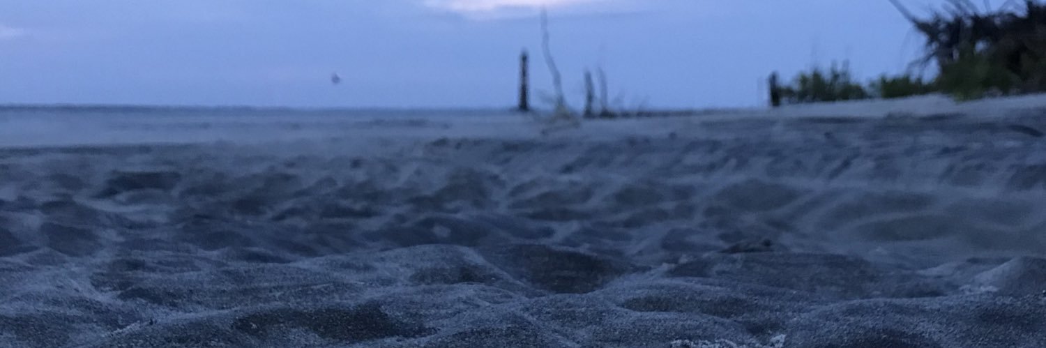 Taylor_Hawkins's profile banner image