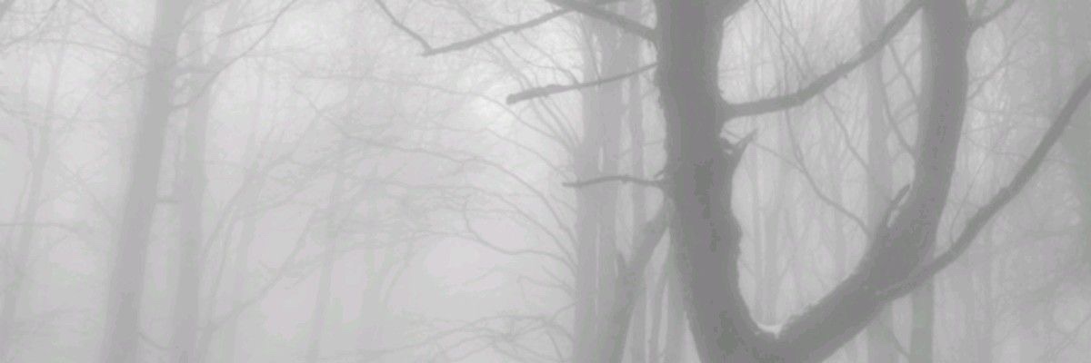 MIA_4202's profile banner image