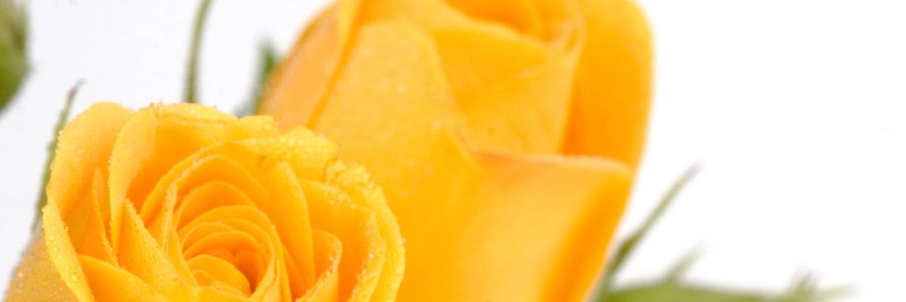 master902258's profile banner image
