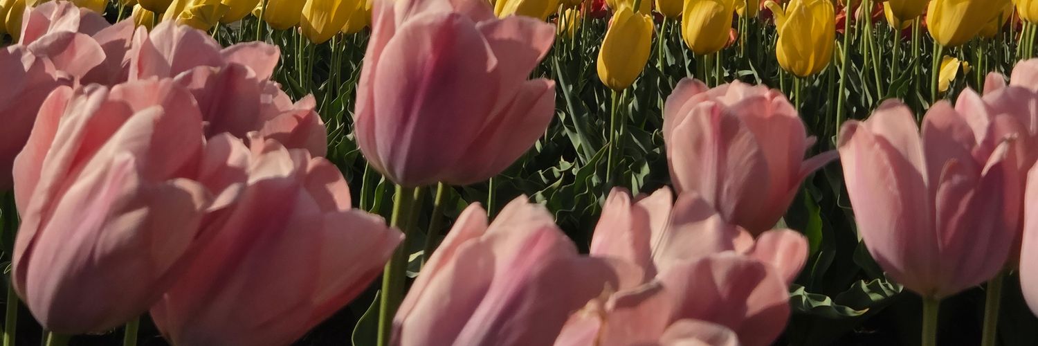 りおんみりお banner