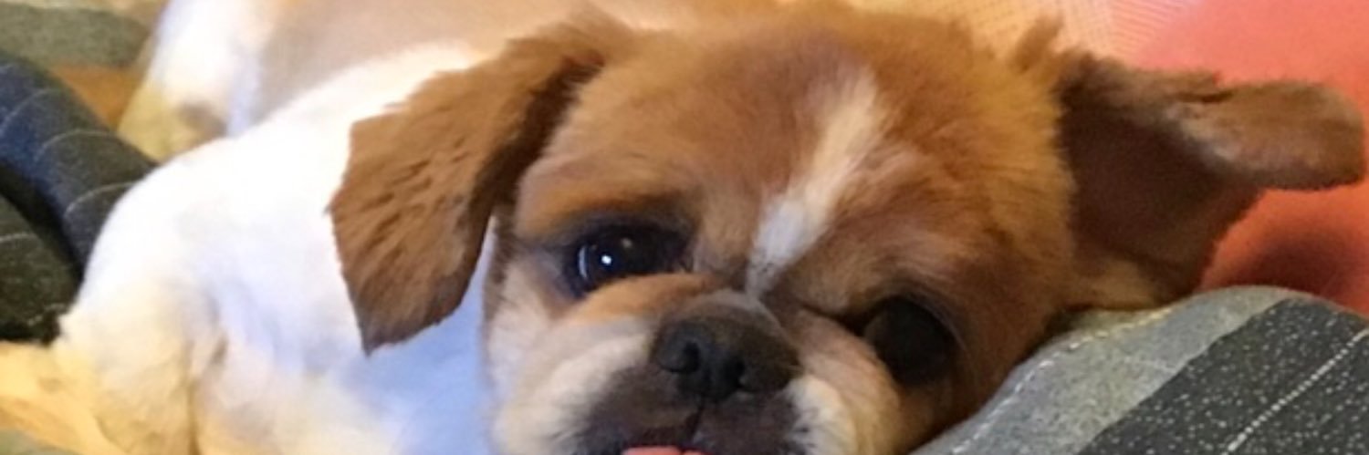 spuds6465's profile banner image