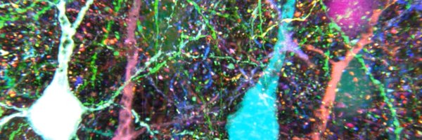 dynbrain Profile Banner