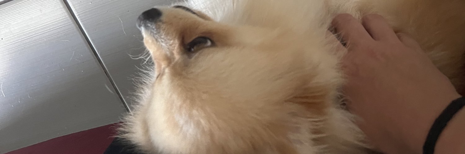 queel_cb's profile banner image