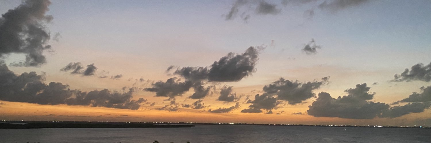 pablo_pava's profile banner image