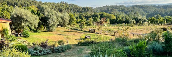 fromartz Profile Banner