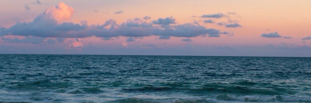 vmazzinir's profile banner image