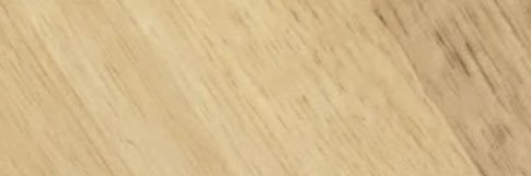 ほね banner